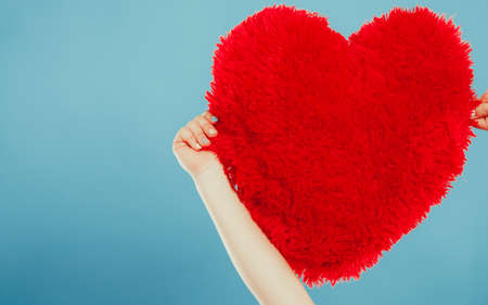 Red heart shape pillow in human hands in studio on blue. Valentines day love.の写真素材