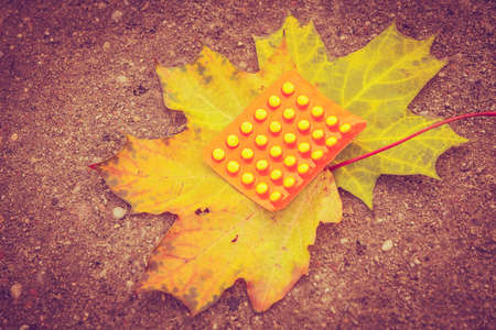 Pill package on leaf. Pack of pills lying on maple leaves. Nature vegetation health medicine concept.の写真素材