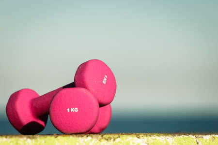 Light pink dumbbells sport symbol outdoor on sea shore. Active lifestyle bodybuilding.の写真素材