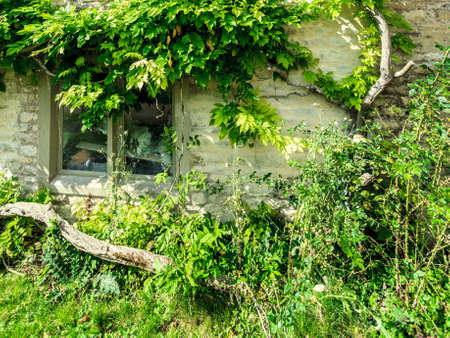 Architecture detail. Old stone house with small window and green trees ivy, village Bibury, Englandの写真素材