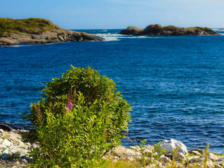 The rocky coast landscape of southern Norway with an ocean view in Rogaland county Norway.の写真素材
