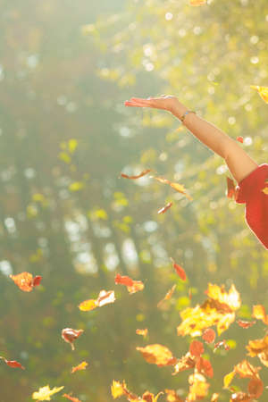 Joy and freedom. Young enjoyable attractive woman having fun with autumnal leaves float in the air in park. Playful girl relaxing outdoor.の写真素材
