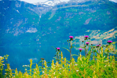 Tourism vacation and travel. Mountains landscape and fjord in Jostedalsbreen National Park, Oppstryn (Stryn), Sogn og Fjordane county. Norway Scandinavia.の写真素材