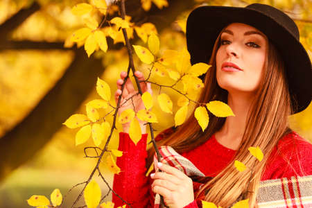Autumn season colors in the park concept. Woman standing by the tree. Attractive lady wearing black hat and red sweather and very stylish checkered scarf.の写真素材