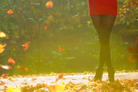 Girl's legs in foliage. Part of female body in woodland. Nature outdoor foliage relax concept.の写真素材