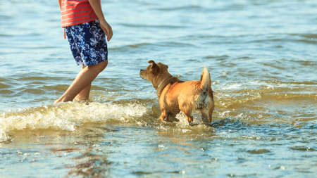 Connection between animals and kids concept. Sportive mixed race dog and boy kid playing together. Active child with puppy having fun.の写真素材
