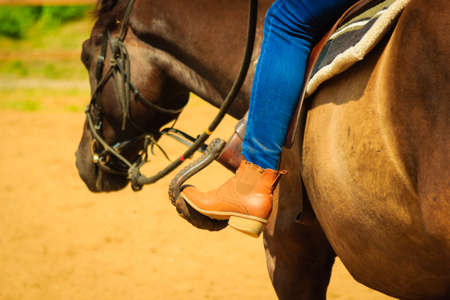 Horsemanship equipment concept. Closeup of woman foot in stirrup on horse saddleの写真素材
