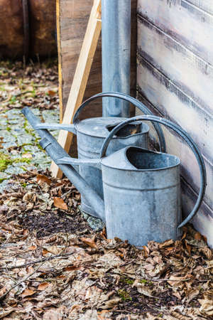 Village detailed objects concept. Two steel made vintage watering cans standing outside in leaves.の写真素材