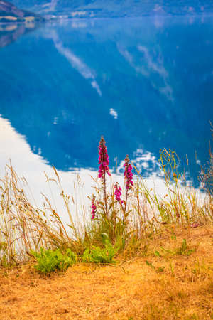 Tourism vacation and travel. Mountains landscape and fjord in Jostedalsbreen National Park, Oppstryn (Stryn), Sogn og Fjordane county. Norway Scandinavia.の写真素材