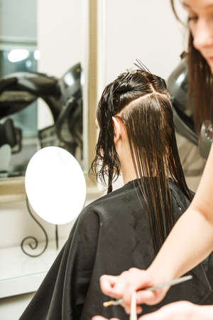 Professional hair styling, trimming split ends concept. Hairdresser cutting woman dark long hairの写真素材