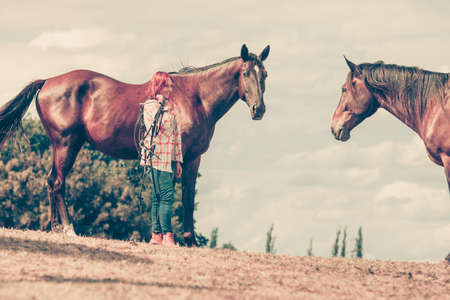 Animal and human love, equine concept. Western woman walking on meadow with horseの写真素材