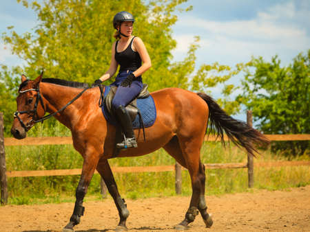 Taking care of animals, horsemanship, western competitions concept. Jockey girl doing horse riding on countryside meadow, sunny day outsideの写真素材