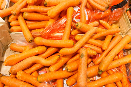 Healthy vegetables, organic fresh food concept. Closeup, pile of many orange carrots
