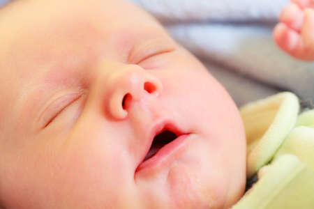 Infant care, beauty of childhood concept. Little newborn baby sleeping calmly in bed surrounded with blanketsの写真素材