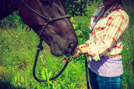 Animal and human love, equine concept. Western woman taking care of horse on green meadowの写真素材