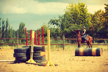Taking care of animals, horsemanship, western competitions concept. Jockey girl doing horse riding on countryside meadow, sunny day outsideの写真素材