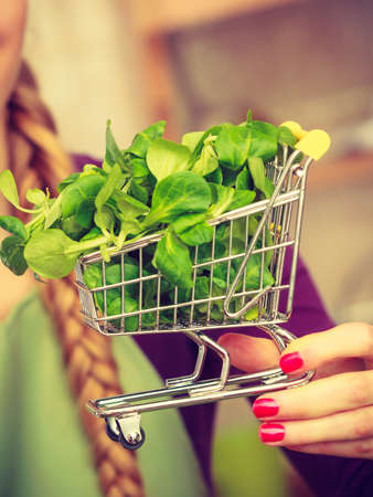 Buying healthy dieting food concept. Woman in kitchen having many green vegetables holding small shopping cart trolley with basil or lettuce inside.の写真素材