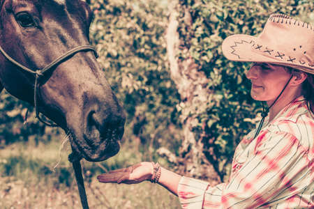 Animal and human love, equine concept. Western woman taking care of horse on green meadowの写真素材