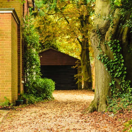 Nature concept. Peaceful path in autumnal forest or park, many yellow leafs on groundの写真素材