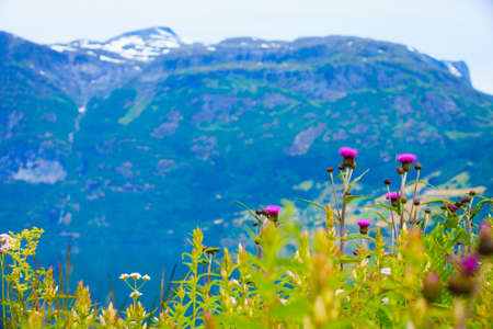 Tourism vacation and travel. Mountains landscape and fjord in Jostedalsbreen National Park, Oppstryn (Stryn), Sogn og Fjordane county. Norway Scandinavia.の写真素材