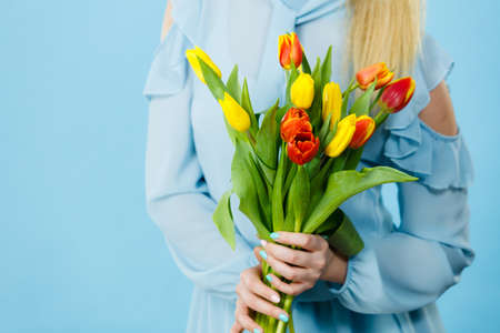 International women day, eight march. Woman hands with red yellow tulips. Mother day. On blueの写真素材