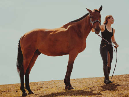 Taking care of animals, love and friendship concept. Jockey young girl petting brown horse on sunny dayの写真素材