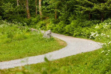 Empty walkway path in scandinavian park or countryside meadow. Beauty of nature, place for walking...