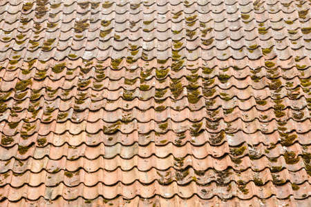 Detailed closeup of red orange roof tiles with green dust or moss.
