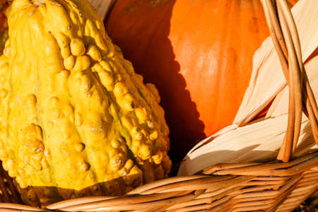 Organic food, healthy eating vegetables concept. Autumn orange pumpkins in wooden basketの写真素材