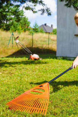 Gardening. Female adult raking green lawn grass with rake tool on her backyard