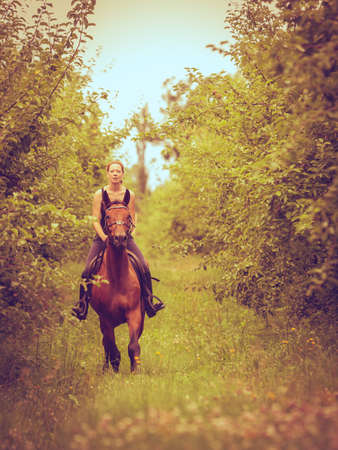 Animal, horsemanship concept. Young woman ridding on a horse through garden on sunny spring day