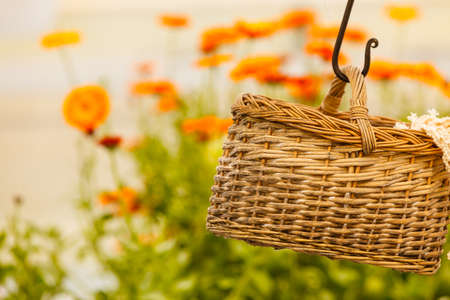 Handmade objects concept. Baskets made of wicker hanging under ceiling in greenhouseの写真素材