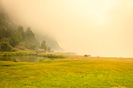 Foggy summer landscape, misty meadow field with trees in Norwayの写真素材