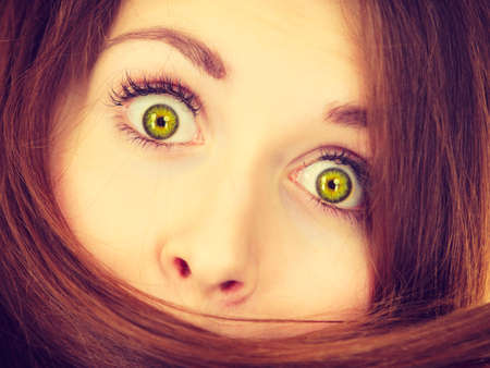 Haircare and hairstyling concept. Woman having face covered with her dark brown hair.の写真素材