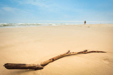 Beach details on sand. Yellow gold sandy beach during calm sunny weather.の写真素材