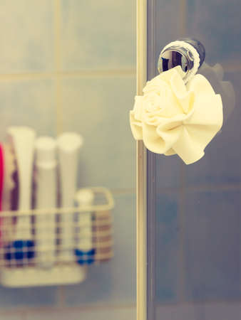 Body sponge hanging on shower glass doorsの写真素材