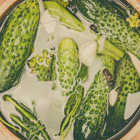 Preparing sour low salt cucumbers in clay jar pot. View from aboveの写真素材