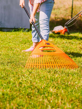 Gardening. Female adult raking green lawn grass with rake tool on her backyardの写真素材