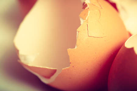 Kitchen food products details concept. Detailed closeup of empty cracked eggshells left after...
