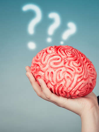 Woman hand holding brain. Having something on mind, thinking of solution idea concept.の写真素材