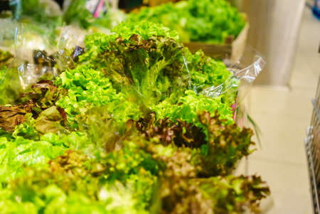 Detailed close up, endive lettuce on shop shelf. Healthy nutrition and nutritious food full of vitamins concept.の写真素材