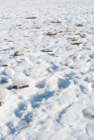 Detailed close up of melting snow with human shoes footprints. Winter details concept.