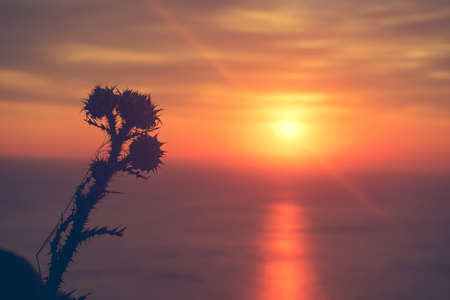 Scenic sunset or sunrise over sea surface. Natural scenery, beautiful landscapeの写真素材