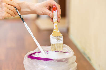Home renovation, walls color change, diy concept. White paint with essentials equipment.の写真素材
