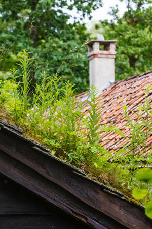 Civilization and nature concept. Norwegian cottage House roof covered with beautiful green moss