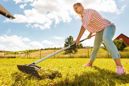 Woman raking leaves using rake. Person taking care of garden house yard grass. Agricultural,...