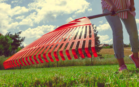 Unusual angle of woman raking leaves using rake. Person taking care of garden house yard grass. Agricultural, gardening equipment concept.の写真素材