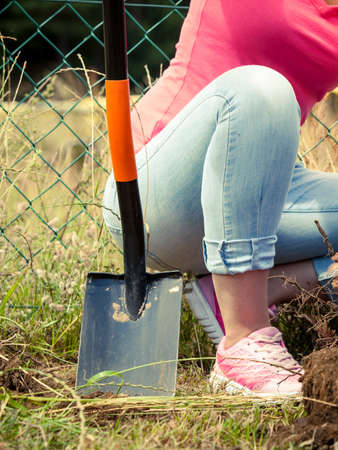 Person gardener digging hole in ground soil with shovel. Yard work around the houseの写真素材