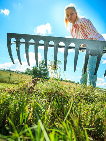 Unusual angle of woman raking leaves using rake. Person taking care of garden house yard grass. Agricultural, gardening equipment concept.の写真素材