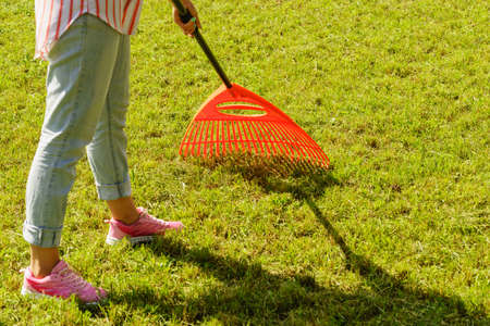 Gardening. Female adult raking green lawn grass with rake tool on her backyardの写真素材